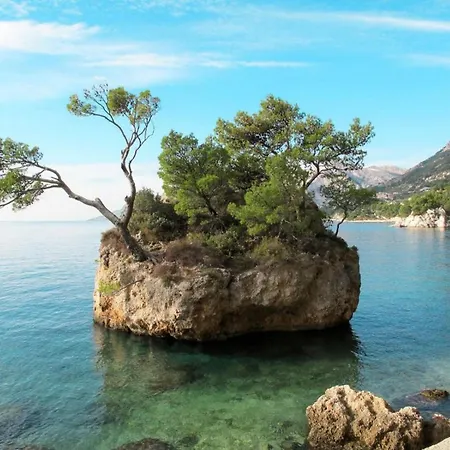 Semesterbostad Amaya Vrgorac